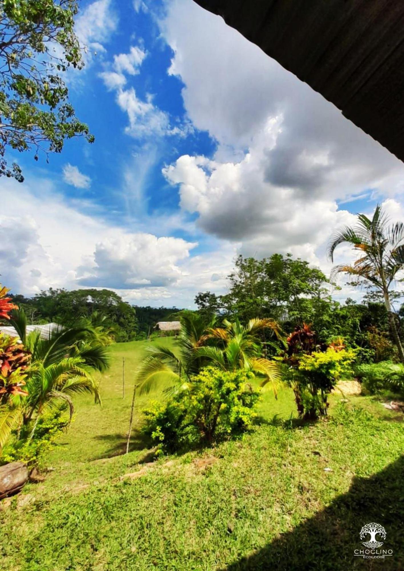 Choclino Ecolodge -Bungalows Tarapoto Eksteriør billede