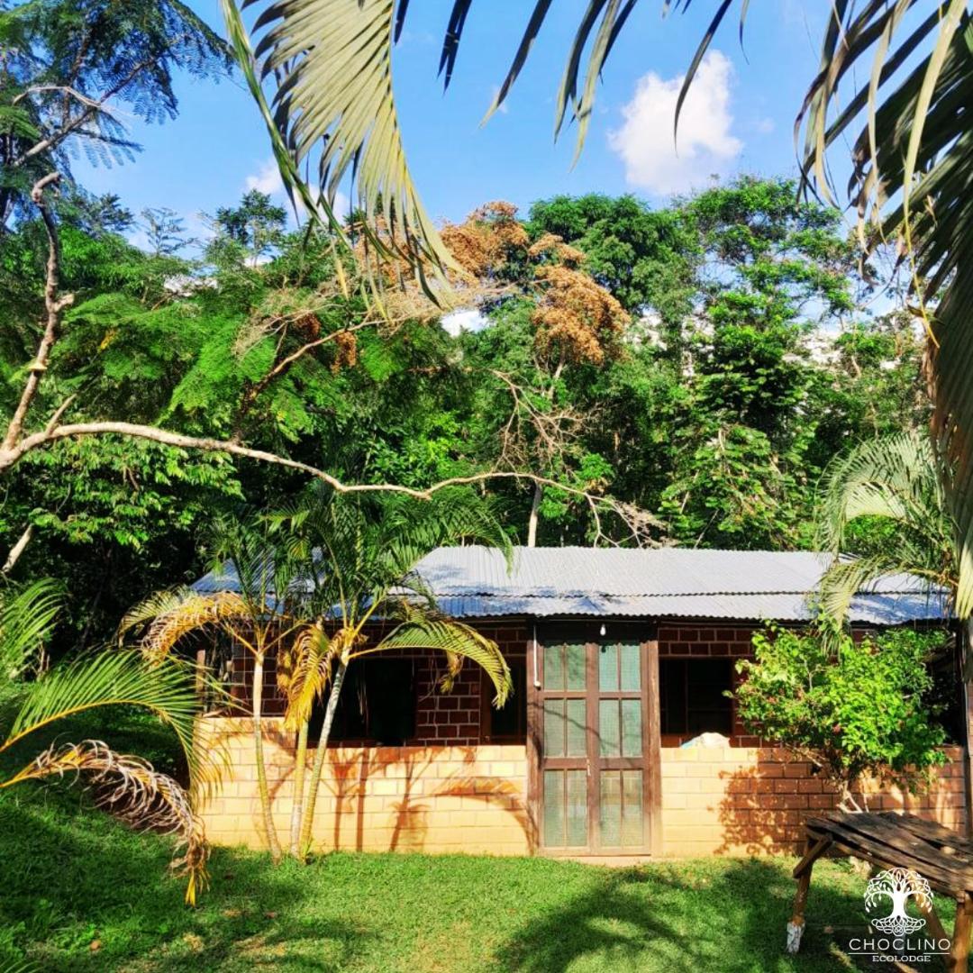 Choclino Ecolodge -Bungalows Tarapoto Eksteriør billede