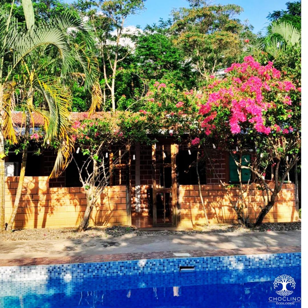 Choclino Ecolodge -Bungalows Tarapoto Eksteriør billede
