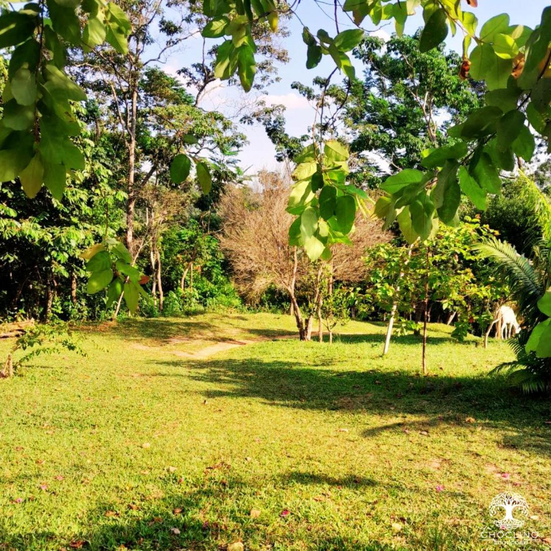 Choclino Ecolodge -Bungalows Tarapoto Eksteriør billede