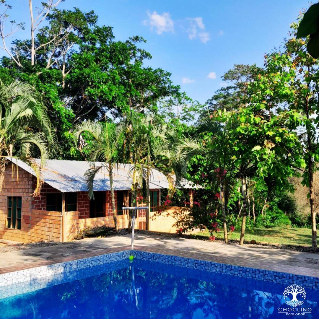 Choclino Ecolodge -Bungalows Tarapoto Eksteriør billede