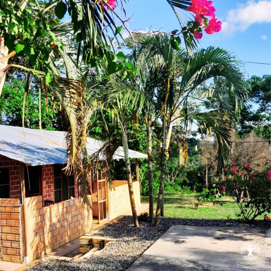 Choclino Ecolodge -Bungalows Tarapoto Eksteriør billede