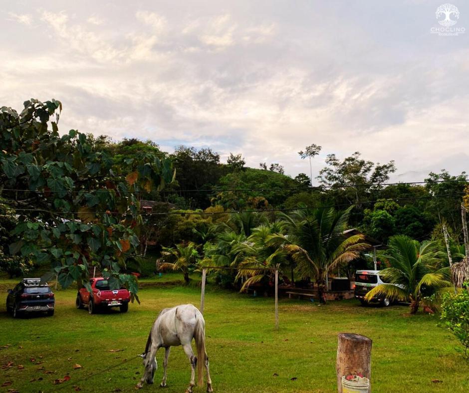 Choclino Ecolodge -Bungalows Tarapoto Eksteriør billede