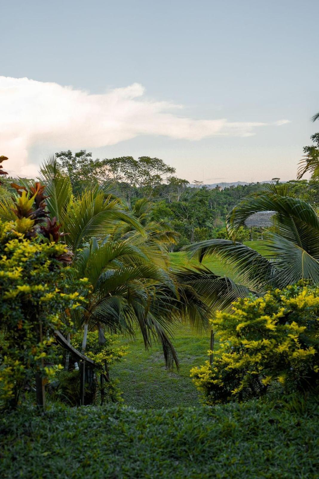 Choclino Ecolodge -Bungalows Tarapoto Eksteriør billede