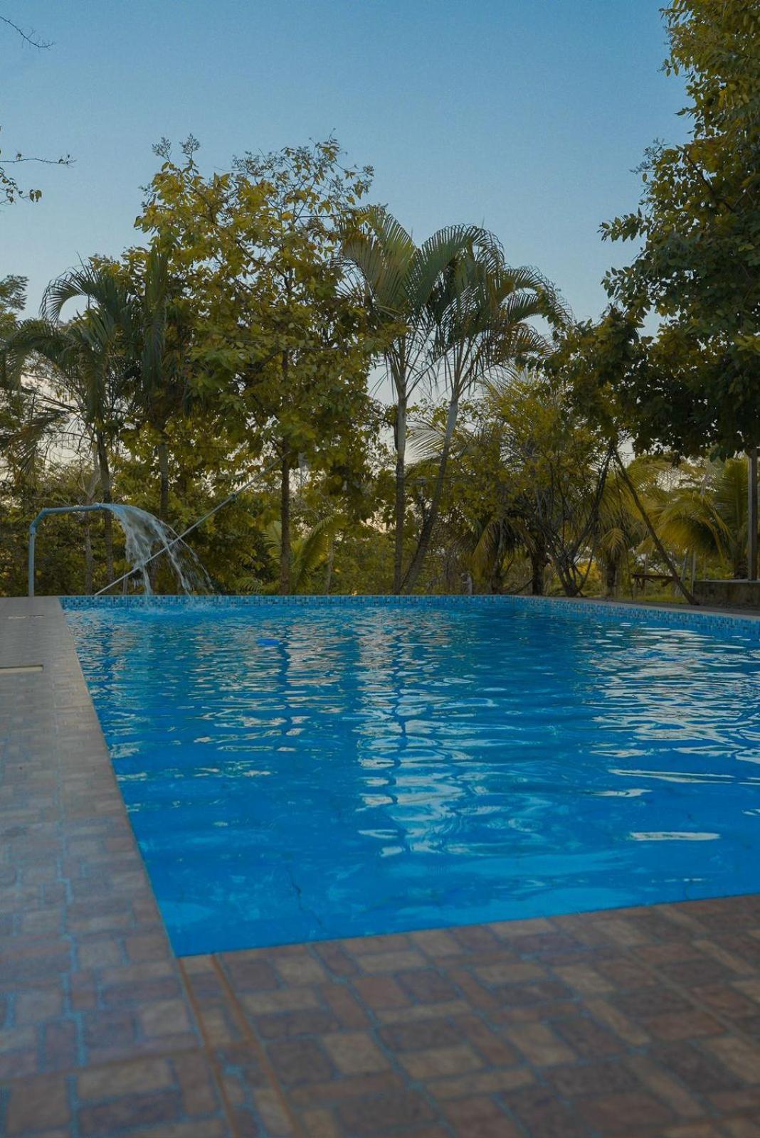 Choclino Ecolodge -Bungalows Tarapoto Eksteriør billede